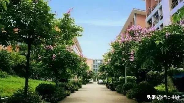 广外艺五山校区，广外艺普通话考试时间（广东第二师范学院）