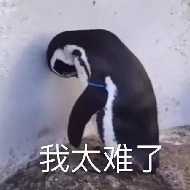 建筑装饰半包是什么意思，装饰公司半包是什么意思（清包、半包、全包到底是什么）