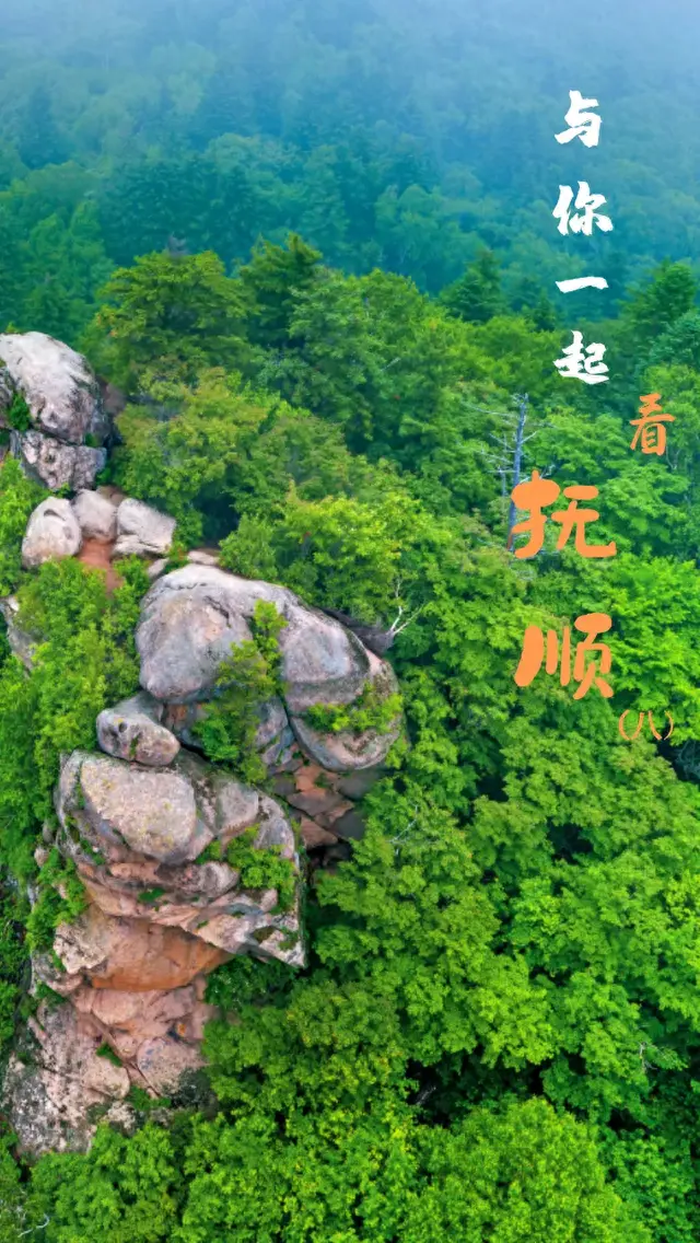 抚顺的夏天 就是哪凉快去哪