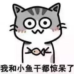 balls怎么讀,一起來讀清朝英語 balls怎么讀,一起來讀清朝英語
