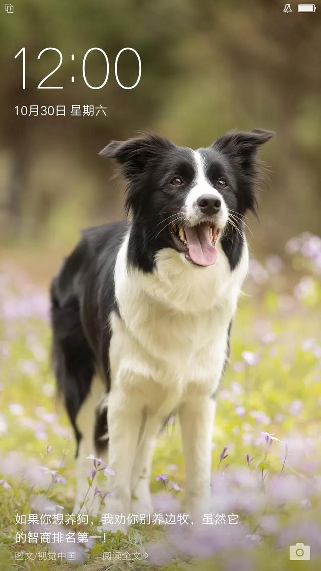 朝朝辞暮尔尔辞晚网名，朝朝辞暮尔尔辞晚（生活陪着我恋爱）