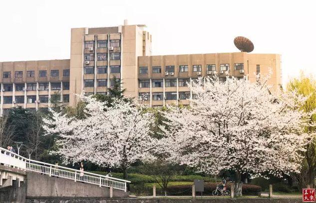 裸婚是什么意思啊，什么才是裸婚（中国春天最美15座大学）