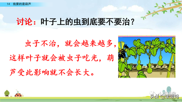 什么的枝叶填空，什么枝叶填空二年级（部编版二年级上册第14课《我要的是葫芦》课件及同步练习）