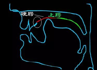 平翘舌不分怎么办，普通话平翘舌音不分怎么办（如何训练平翘舌读音）