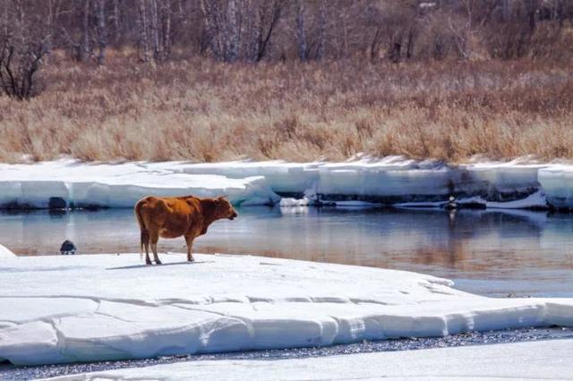 菲律宾长滩岛天气怎么样，菲律宾长滩岛介绍一下（一月份最值得去的旅行地）