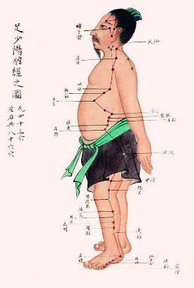 风市的准确位置图片，风市穴位位置图和作用（胆结石等肝胆问题）