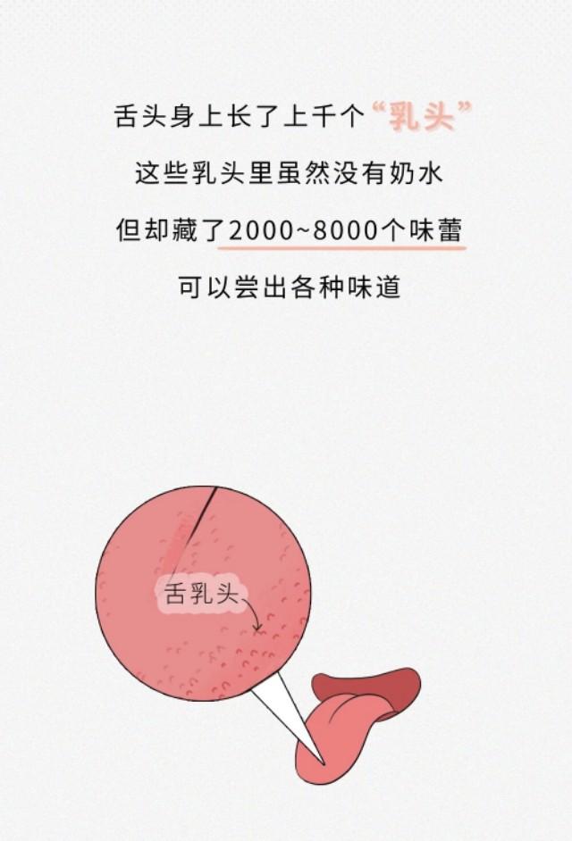 男生接吻不伸舌头，亲你嘴唇但没有伸舌头是什么意思（接吻时一定要伸舌头吗）