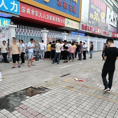 田阳人才网：引领求职新风向