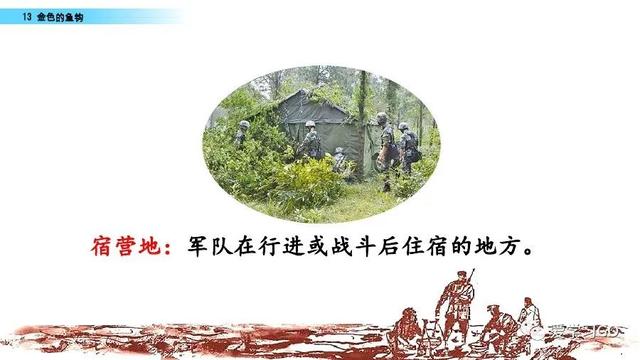 金色的鱼钩作者，陆定一简历（部编版语文六年级下册第13课《金色的鱼钩》图文讲解+知识要点）