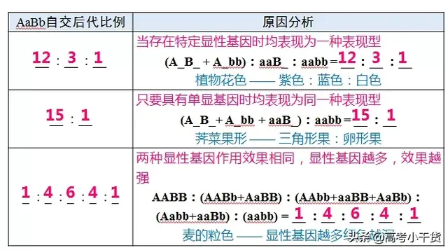什么是基因的遗传信息，什么是基因的遗传信息传递（<基因、遗传篇>建议收藏）
