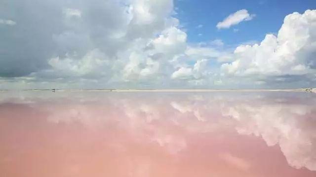 墨西哥娃娃岛的基本资料，墨西哥有个娃娃岛，你敢来吗