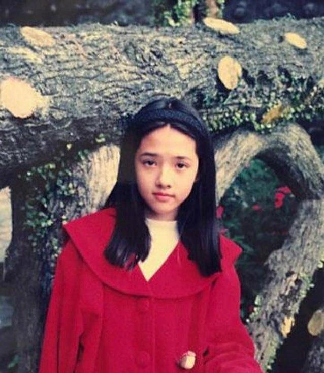 最美的时光剧情介绍，最美的时光电视剧剧情（辛苦养育女儿郭碧婷长大）