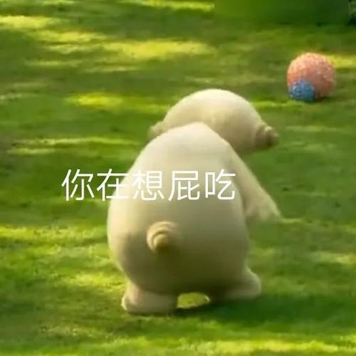 花园宝宝晚安台词，花园宝宝晚安台词歌曲完整版（花园宝宝表情包）