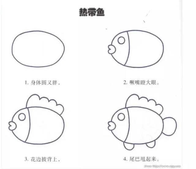 学画画顺序图片