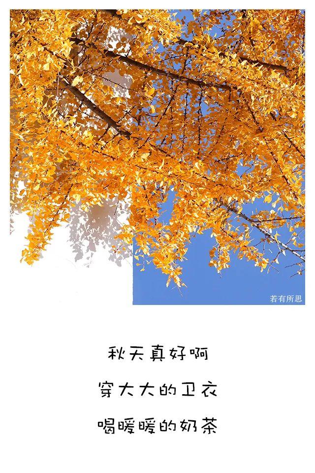 喜欢秋天的理由，我为什么喜欢秋天（秋天最像人生）