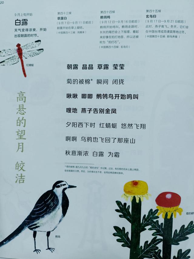 四季是按什么划分的，四季是如何划分（一年四季二十四节气）