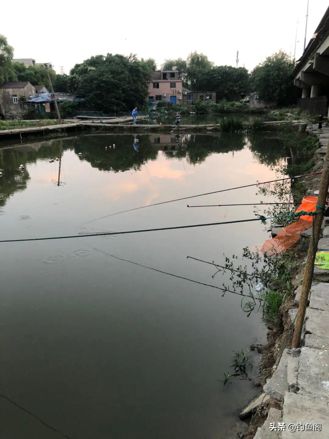 北京黑坑钓鱼攻略：揭秘“流氓漂”技巧与实战经验分享，助你轻松上鱼