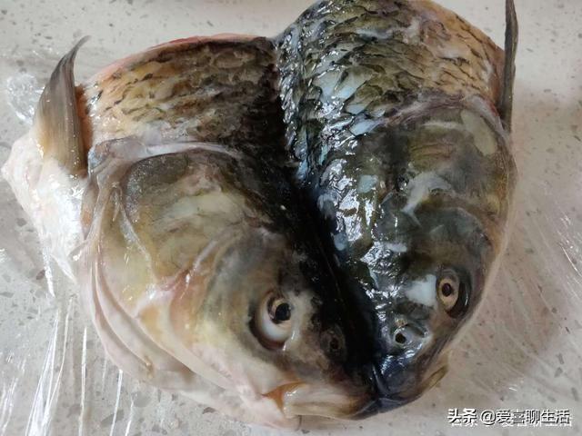 鱼头怎么做，鱼头怎么做才能好吃（不用辣椒也鲜香没腥味）