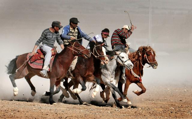 用马字组词有什么，马字组词还有什么（拍马“留序”摄影浅谈）