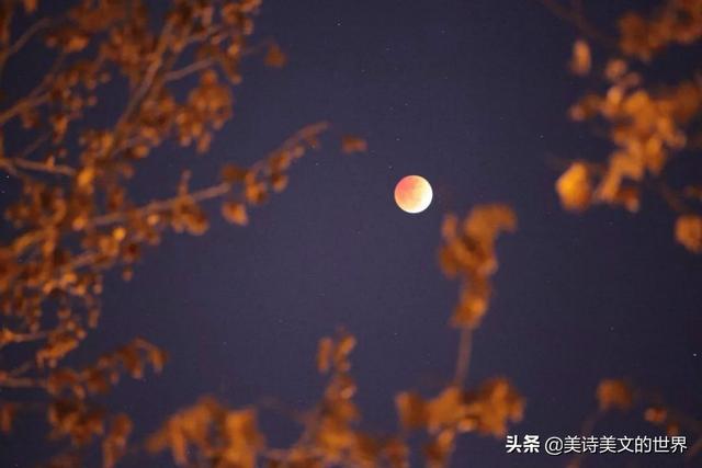 中秋节古诗唐李白，关于中秋节古诗李白（中秋赏月怎能少了李白这浪漫之作）