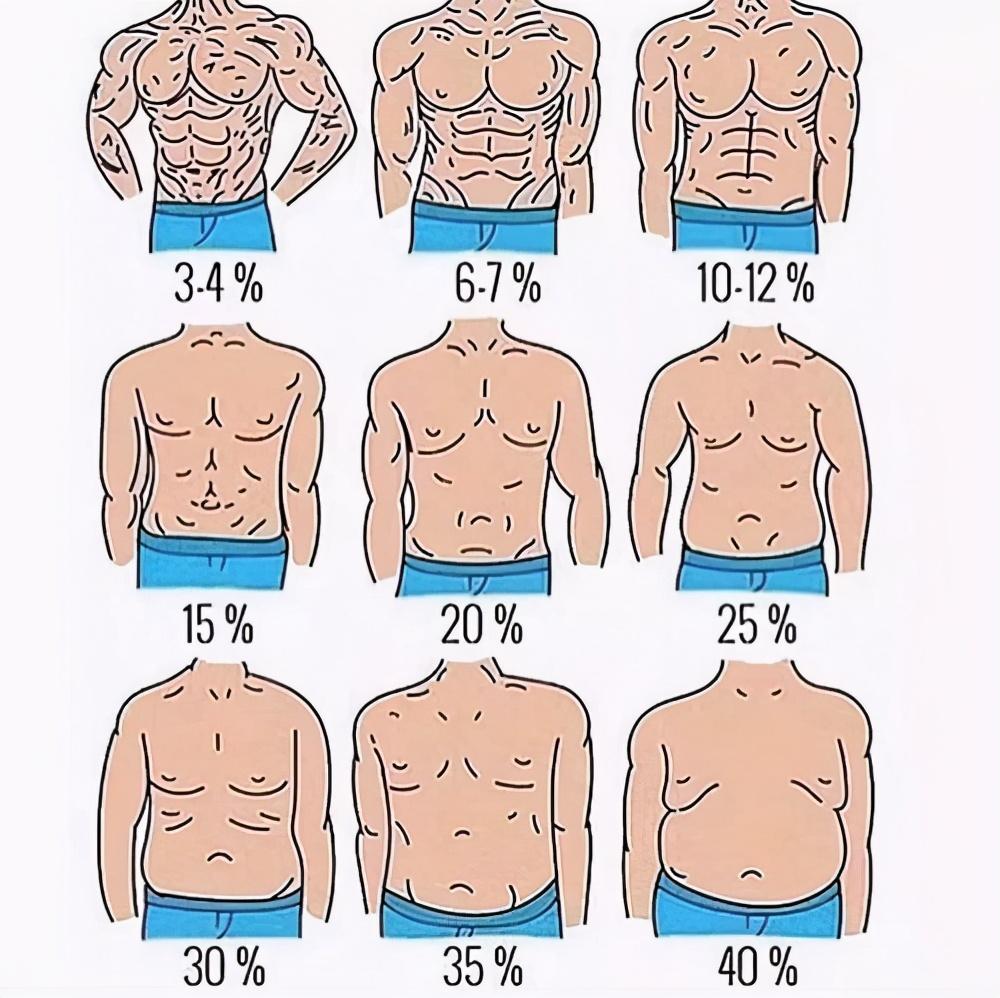 男人的腹肌怎么练出来？附：卷腹的正确做法图示