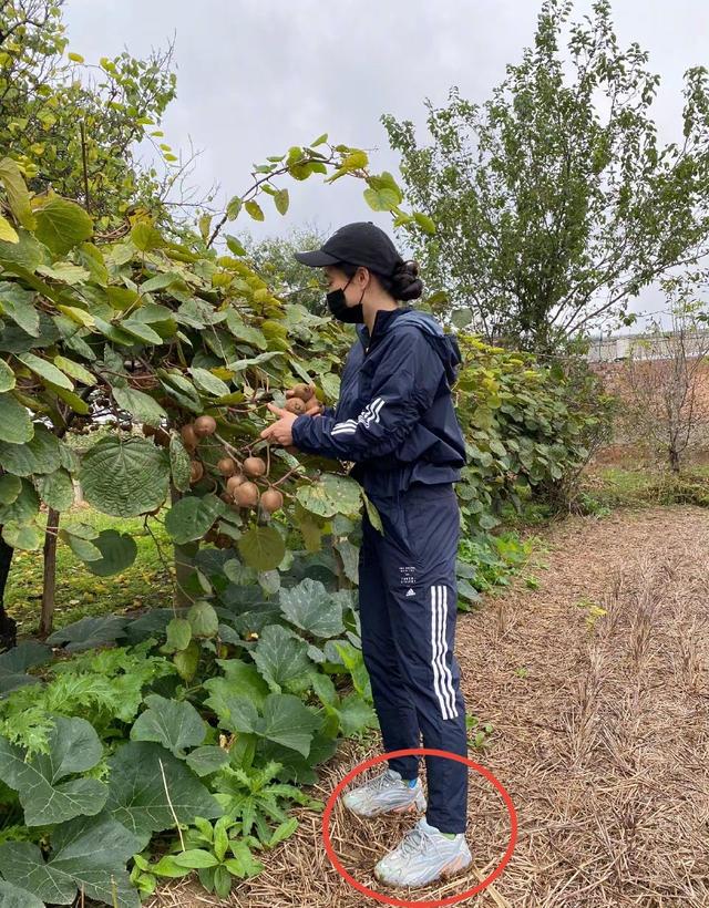 网红鼻祖芙蓉姐姐近况，衣着低调现身农家院，脚上的鞋子成了焦点