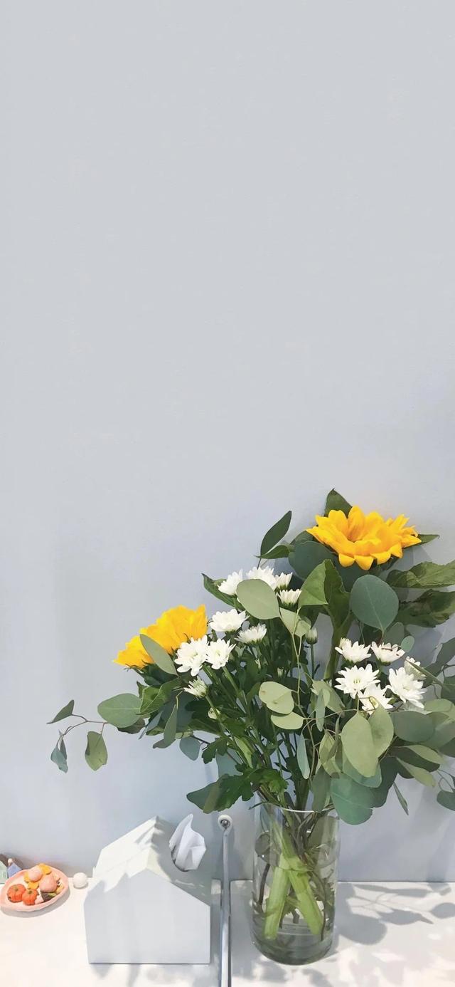 平安喜乐万事胜意，平安喜乐万事胜意什么意思（壁纸 ， 平安喜乐，万事胜意）