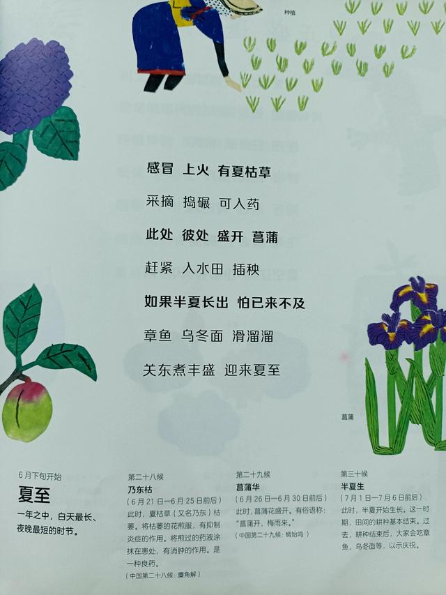 四季是按什么划分的，四季是如何划分（一年四季二十四节气）