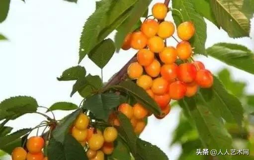 山东诸城的具体资料，诸城百度百科（诸城简历竟然是这样的）