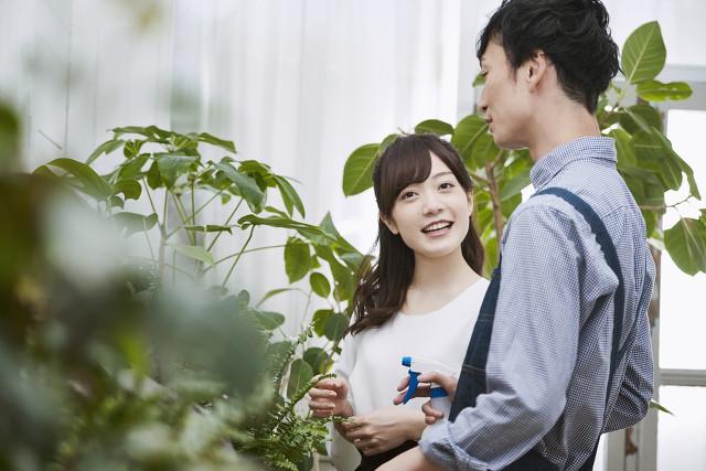 开花店赚钱吗(新手如何开花店)