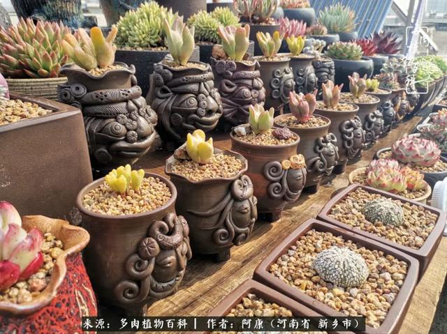 2021九·一八事变是多少周年，2021年是九一八事变的几周年（献给2021最好的春天）