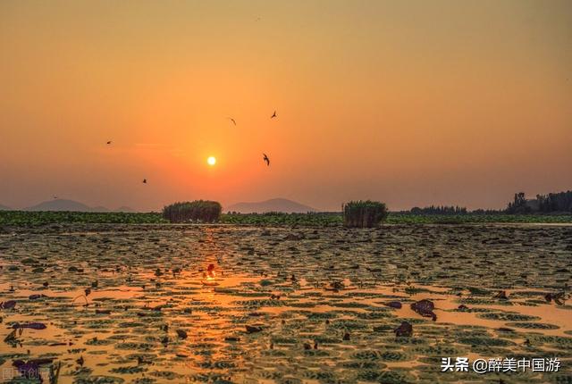 东平湖旅游，东平湖旅游区（渔业资源丰富）