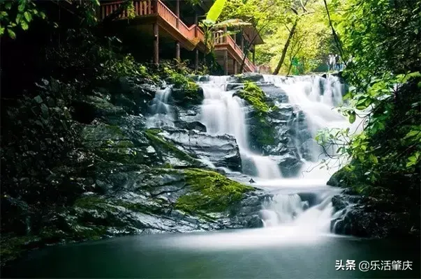 肇庆市各区面积排名，肇庆哪个县最大，哪个县最小
