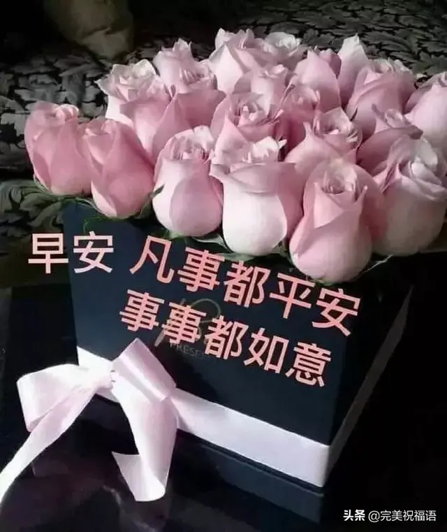 人生就像蒲公英，人生就像蒲公英看似自由却身不由己经典美文（人生就像蒲公英 看似自由 却身不由己）