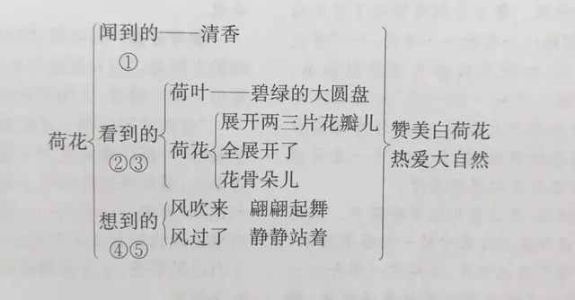 鸯的拼音是什么，鸯的拼音（三年级下语文第一单元知识点）