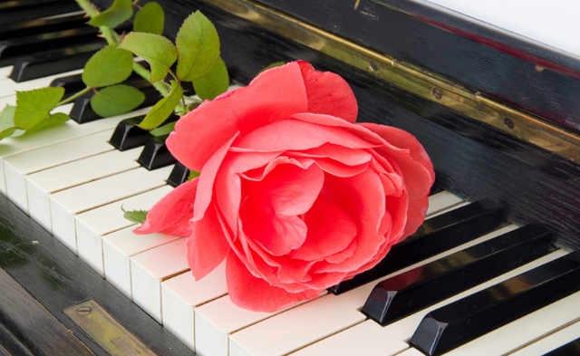 表达爱意的诗词，男子表达爱意的诗词（520告白日）