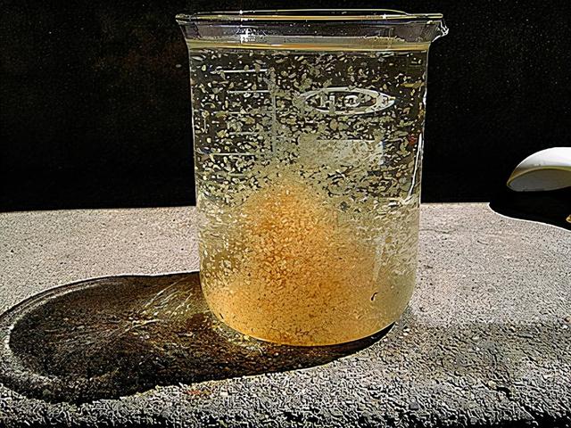 水蚤怎么养，水蚤怎么养繁殖快（一个水族鱼友玩家说的水蚤养殖方法）