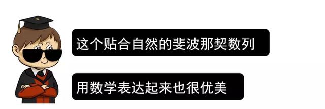 斐波拉契数列，斐波那契数列python（我居然从一只猫身上学到了斐波那契数列）