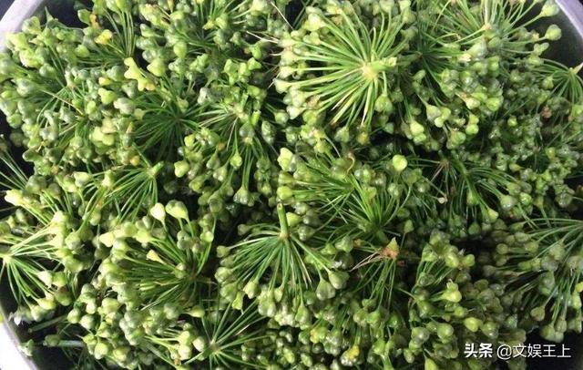 腌菜的做法大全，腌酸辣白菜的做法大全（人称“下饭之魂”）