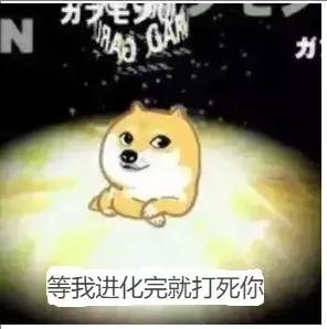 冯诺依曼计算机的基本原理，智商超过爱因斯坦的男人