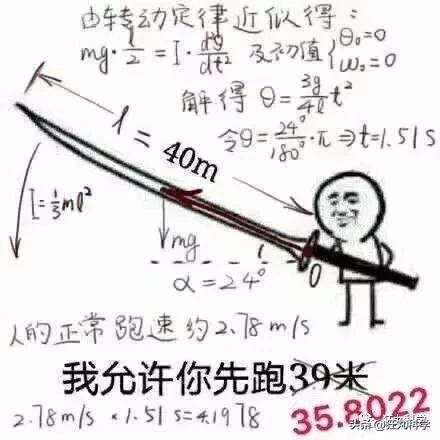 鸽子为什么这么大，鸽子为什么那么大是什么梗（鸽子为什么可以和人一样大）