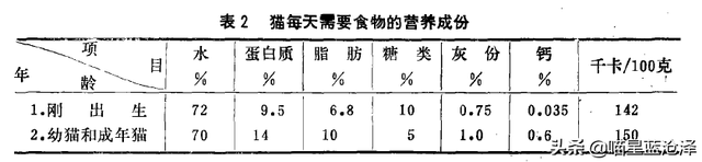 凌采露华官网，关于幼猫你不知道的第4件事——幼猫该吃什么东西