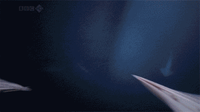 大海图片，大海图片真实照片（大海令人恐惧的一面）