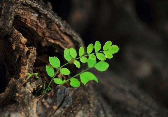巨大财运来临的前兆，巨大财运来临的前兆有哪些（遇到的人难逃一夜暴富~）
