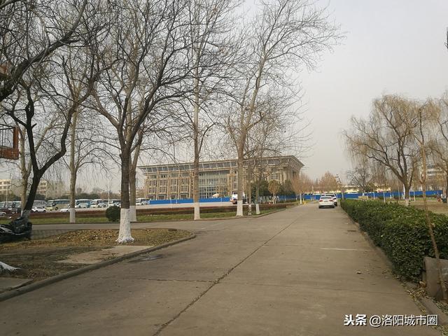 行走学院路，项目搁浅，老洛阳师范学院这块土地又该如何？