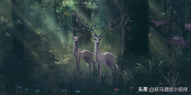 湮灭电影解析，湮灭电影剧情深度解析（烧脑神作还是故作深沉的烂片）