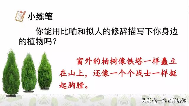 平淡无味的意思，清淡无味的意思（部编版六年级上册第2课《丁香结》重点知识点+图文解读）