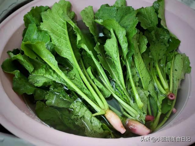 萝卜菜怎么做好吃,绿萝卜菜叶怎么做好吃(10月萝卜叶正鲜嫩)