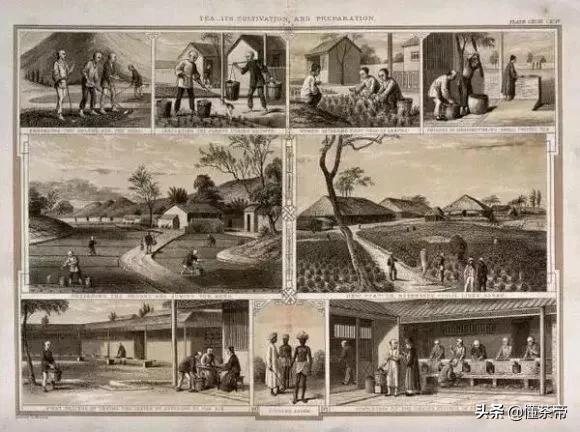 茶祖是谁,四川茶祖是谁(影响世界茶史的十大人物) 茶祖是谁,四川茶祖是谁(影响世界茶史的十大人物)