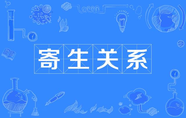 中小学课外辅导，中小学课外辅导机构是做什么的（但更要整顿的是中小学教育）